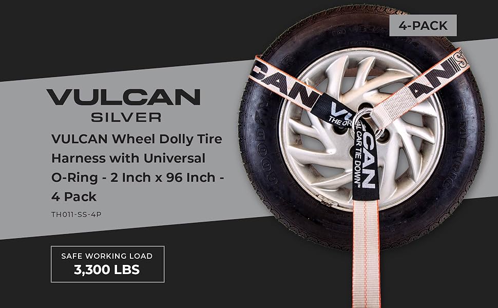 VULCAN Standard Image Header